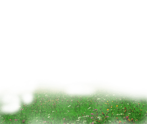 gräs--grass - бесплатно png