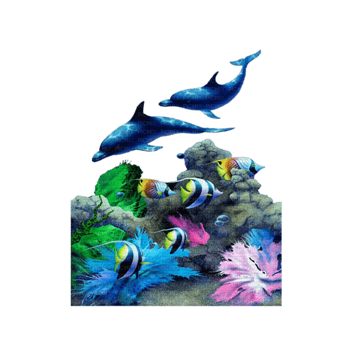 dolceluna summer underwater dolphins - gratis png