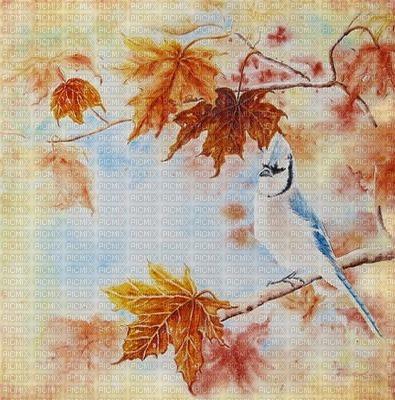 background-autumn-höst - 免费PNG
