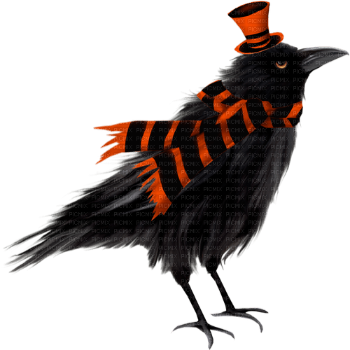 halloween crow by nataliplus - 免费PNG