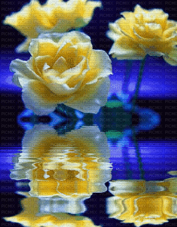 MMarcia gif rosas blue fundo - GIF เคลื่อนไหวฟรี