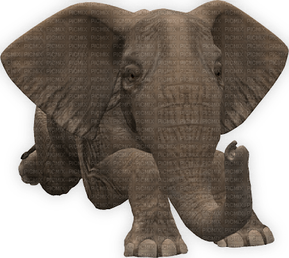 elephant - png gratuito