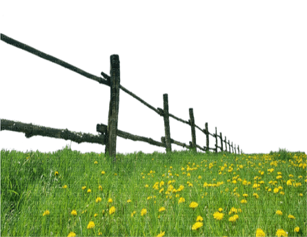 fence grass flowers clôture herbe fleur - png gratis