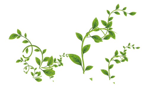 Vines-RM - zadarmo png