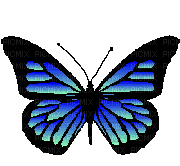 butterflies katrin - Free animated GIF