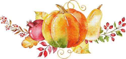 pumpkin watercolor cluster Bb2 - png ฟรี