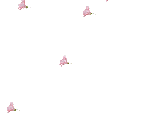 falling flowers - Darmowy animowany GIF
