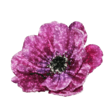 animated purple flower - Besplatni animirani GIF