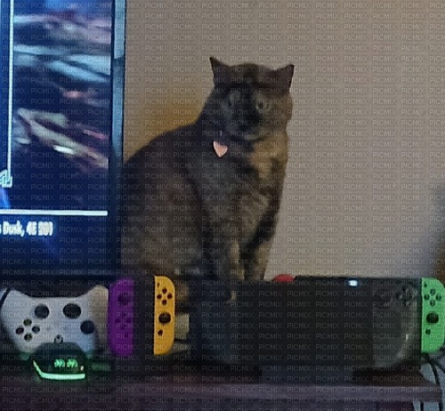 Gaming Kitty - png ฟรี