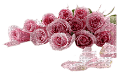 Róże różowe bukiet - zdarma png