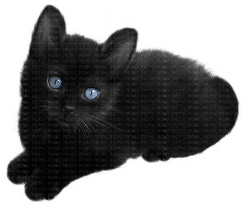 autumn deco kikkapink png black cat - PNG gratuit