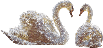 cisnes - GIF animado gratis