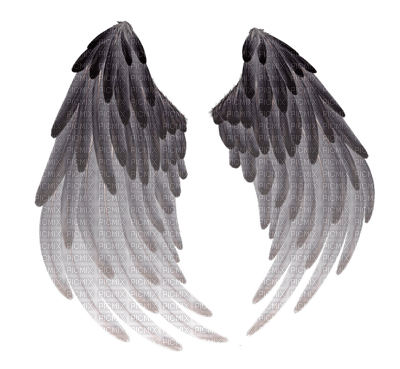 Wings - 免费PNG