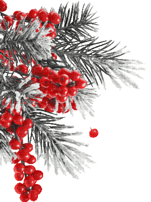soave deco corner animated branch christmas - 無料のアニメーション GIF