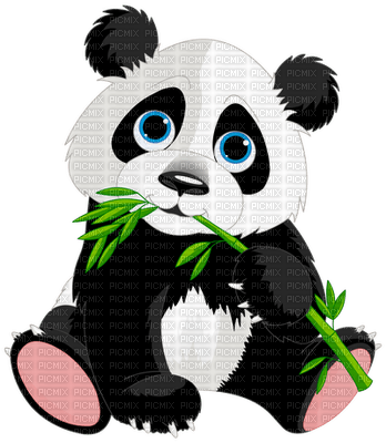 PANDA - nemokama png