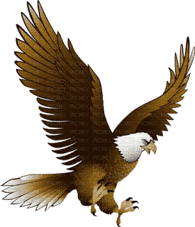 Aguila11 - nemokama png