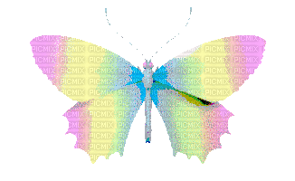 butterfly - Ücretsiz animasyonlu GIF