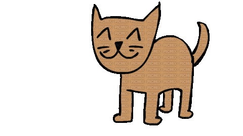 cat frustrated - Animovaný GIF zadarmo