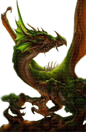 green dragon by nataliplus - 免费PNG