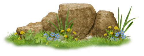 Piedras y plantas - png gratis