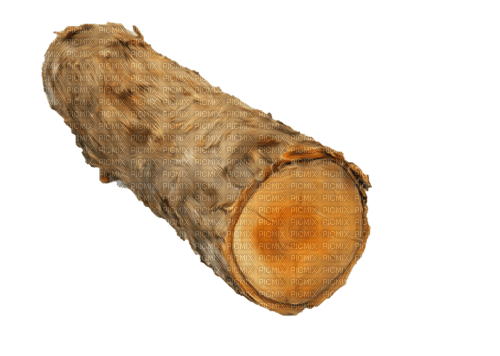 trästock----wood log - png gratuito