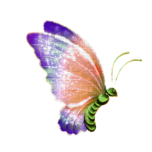 Y.A.M._Fantasy butterfly - GIF เคลื่อนไหวฟรี