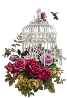 fleurs cage oiseau - PNG gratuit