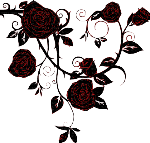 gothic roses - zdarma png