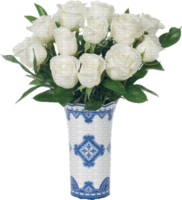 Białe róże - Безплатен анимиран GIF