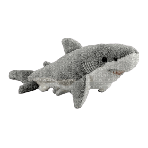 shark plushie - nemokama png