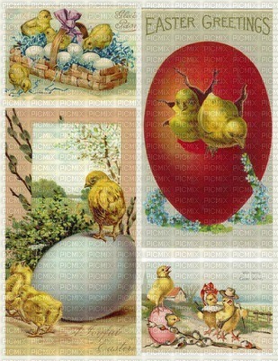 Easter Card with Chicks - ücretsiz png