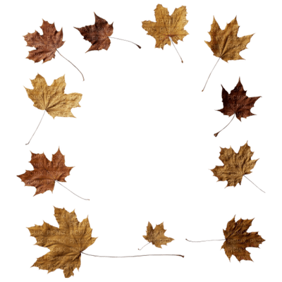autumn frame by nataliplus - PNG gratuit