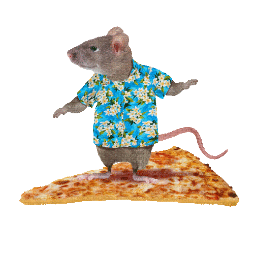 Nina mouse - Darmowy animowany GIF