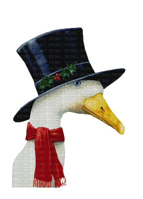 Pato con sombrero - GIF animé gratuit