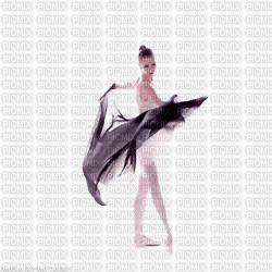 ballerine. - Animovaný GIF zadarmo