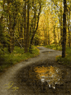 autumn rain fall nature gif landscape paysage - GIF animasi gratis