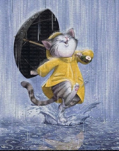 rainy day cat - PNG gratuit