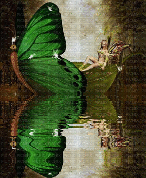 fairy Nitsa Papacon - Bezmaksas animēts GIF