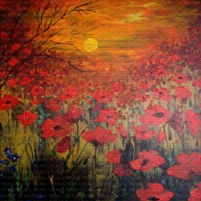 fond painting Flower loly33 - фрее пнг