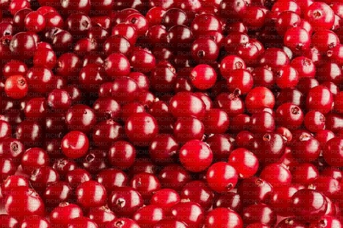 Cranberry - безплатен png