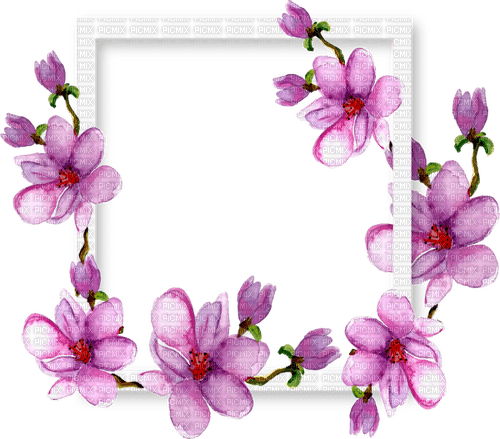 floral frame Bb2 - ücretsiz png