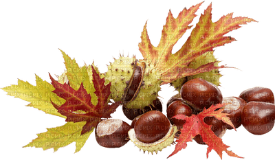 autumn deco by nataliplus - zdarma png
