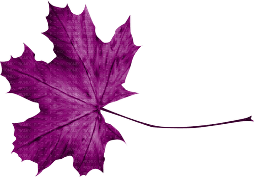 Leaf.Purple - PNG gratuit