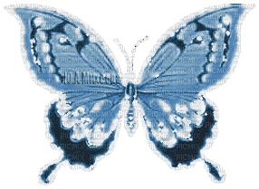 Y.A.M._Fantasy Butterfly blue - Free animated GIF