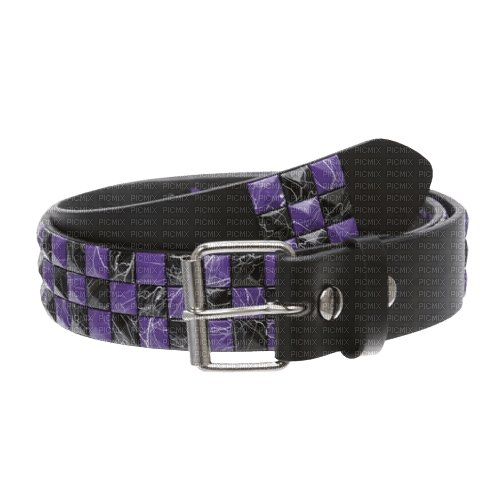 purple studded belt - ingyenes png