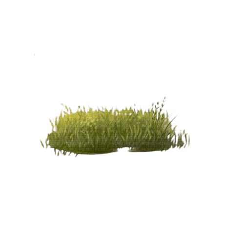 grass - ücretsiz png