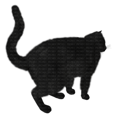 Kaz_Creations Cats Kittens Cat Kitten - безплатен png