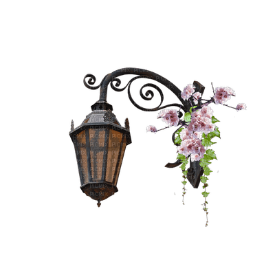 lantern anastasia - бесплатно png