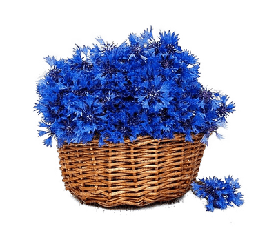 Blue Flower.Bleu.Basket-Panier.Canasta.Fleur.Victoriabea - darmowe png