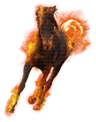 horse pferd cheval animal animals tier tube fire feu feuer fantasy fantasie - безплатен png